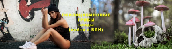 крисы Костерёво
