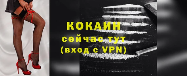 крисы Костерёво