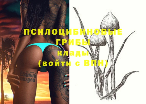 гидропоника Корсаков