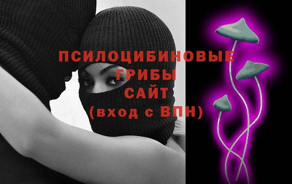 крисы Костерёво