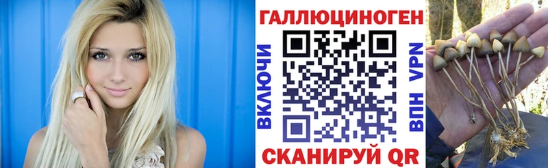 Галлюциногенные грибы Cubensis  Купить  Набережные Челны 